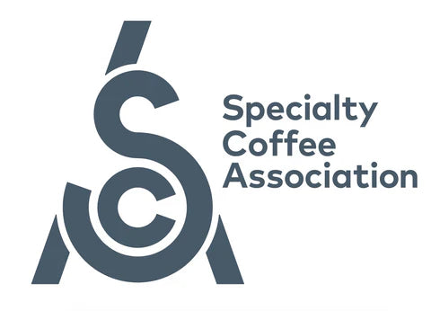 ¿Cómo califica la SCA el café de especialidad?